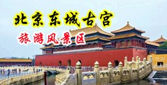 偷情15p中国北京-东城古宫旅游风景区